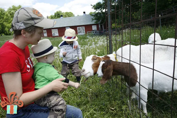 Gifts for Kids: Weekend Getaway to a goat farm in Minnesota