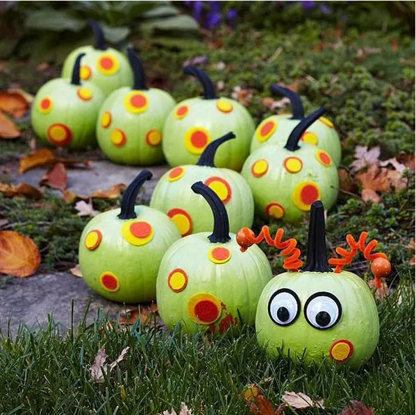 caterpillar pumpkins