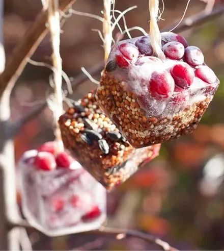Make ice decorations - one of the 20 outdoor snow activities for kids. Be prepared for that snowy day when school is off and kids want to go outside and play. This list of snow and ice activities for kids of all ages is just what you need for any winter day. | at Non Toy Gifts