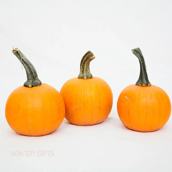 Easy apple pumpkin craft for kids. Perfect fall craft for toddlers or older kids. Paint small pumpkins red and glue a few green leaves. | at Non Toy Gifts