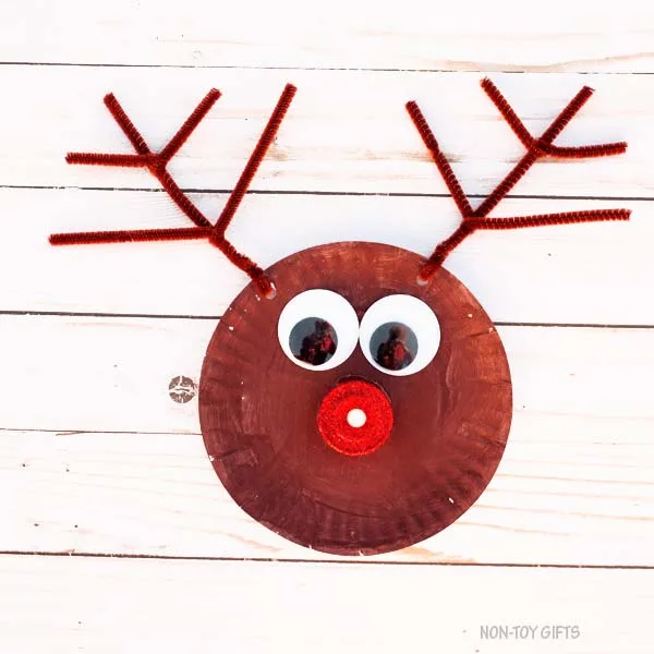 Reindeer eyes