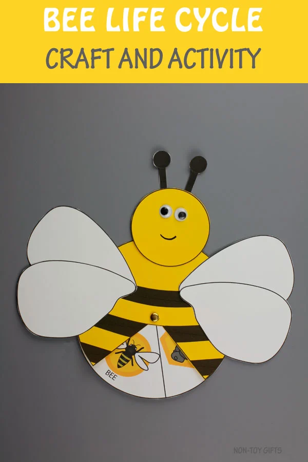 Honey bee life cycle craft
