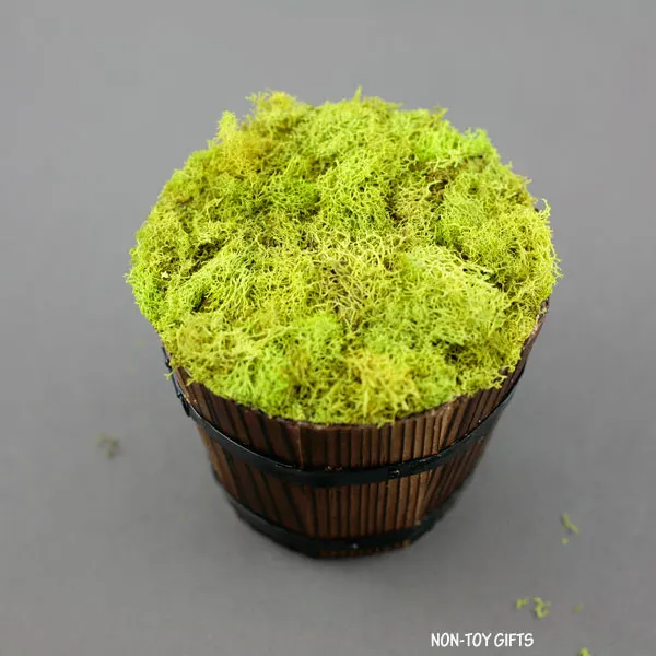 pot covered with moss