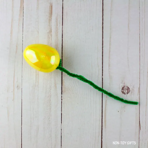 stem
