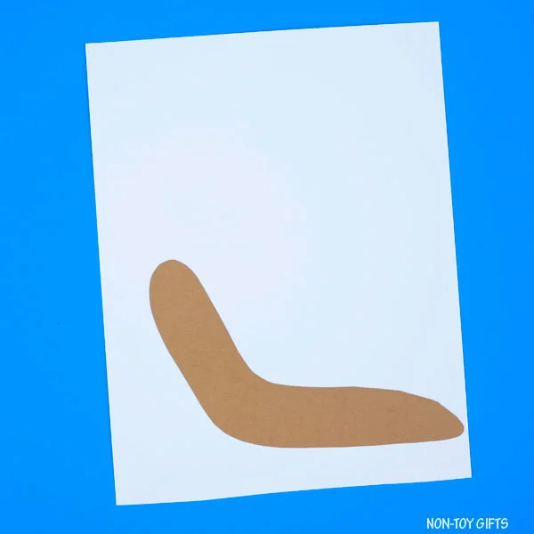 snail's body