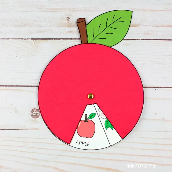 Apple life cycle wheel craft kindergarten