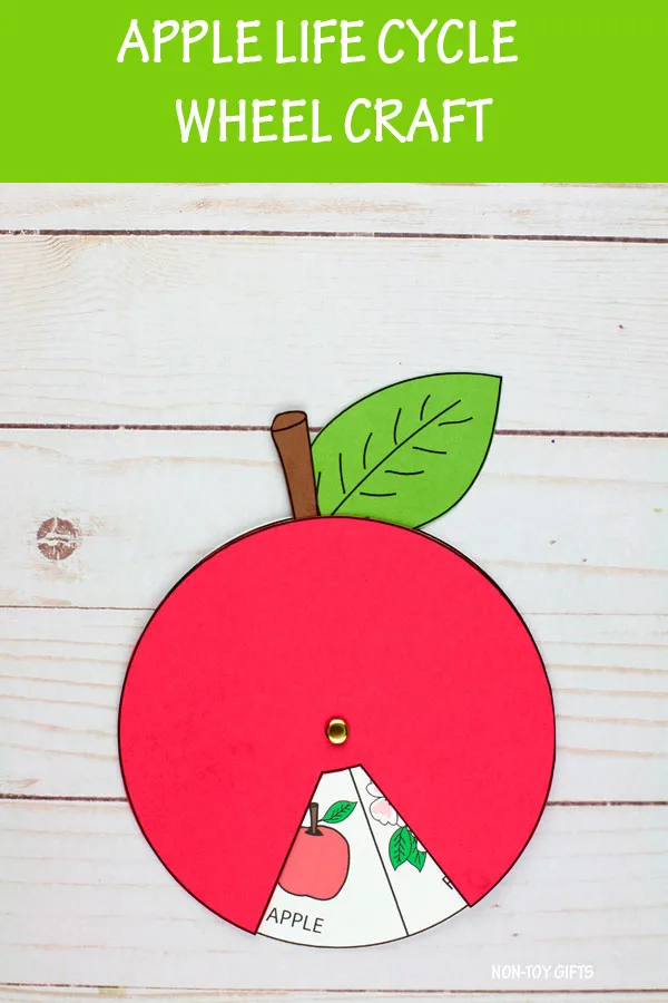 Apple life cycle wheel raft