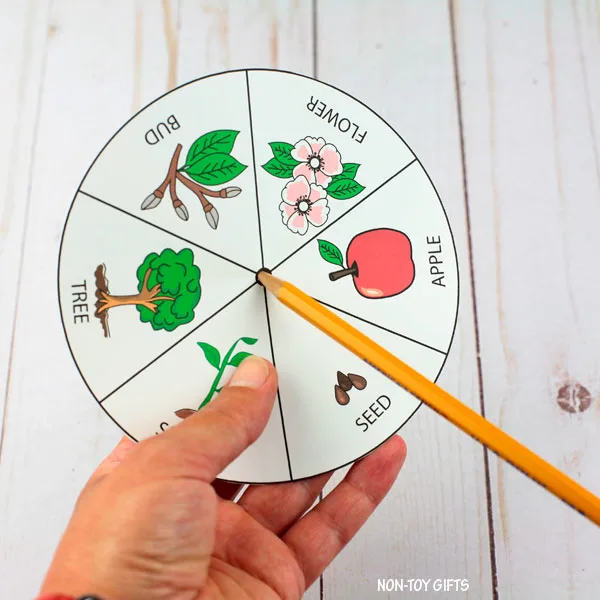 Hole made with pencil
