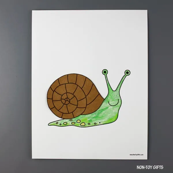 snail's shell
