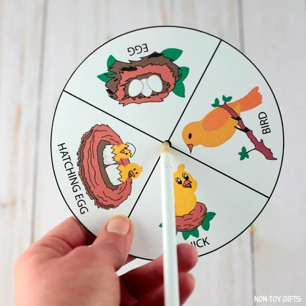 hole in the middle of the wheel