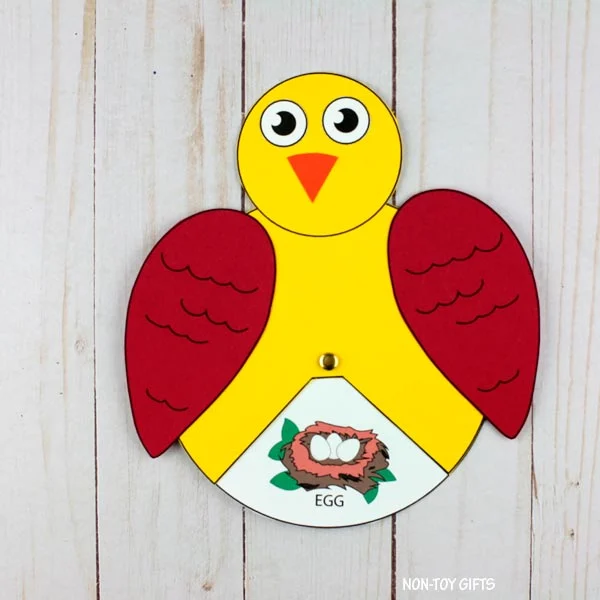bird life cycle craft printable