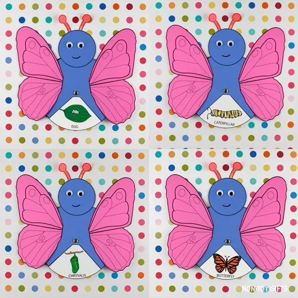 Butterfly life cycle spinner: egg, caterpillar, chrysalis and butterfly