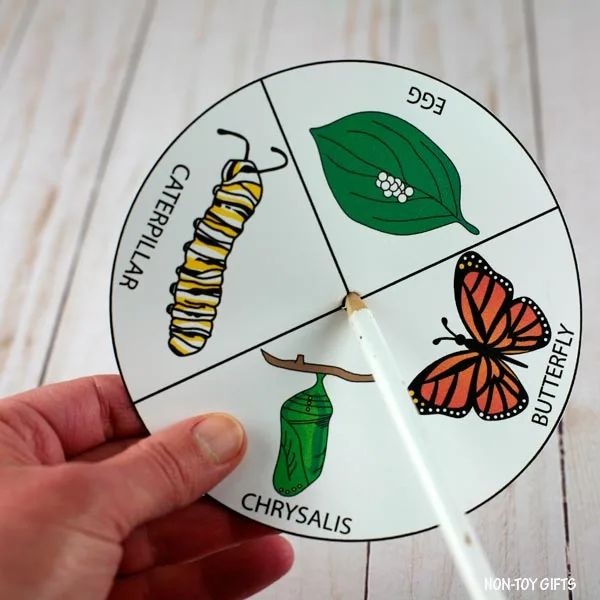 hole in life cycle wheel