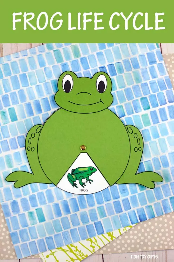 Frog life cycle spinner craft
