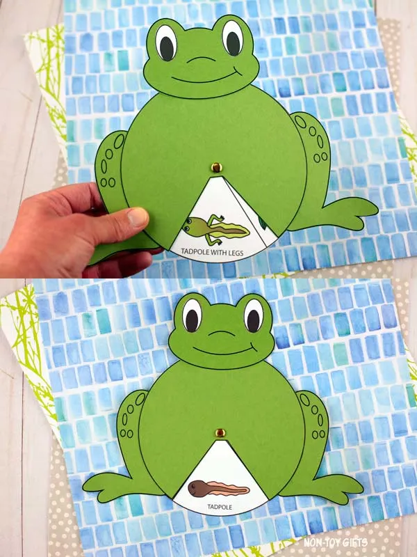 frog life cycle spinner craft for kids