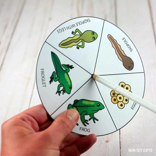 hole in spinner