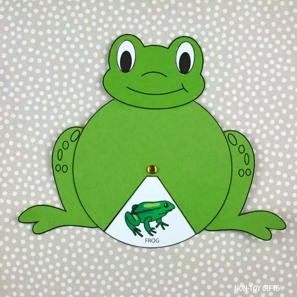 spring frog life cycle craft