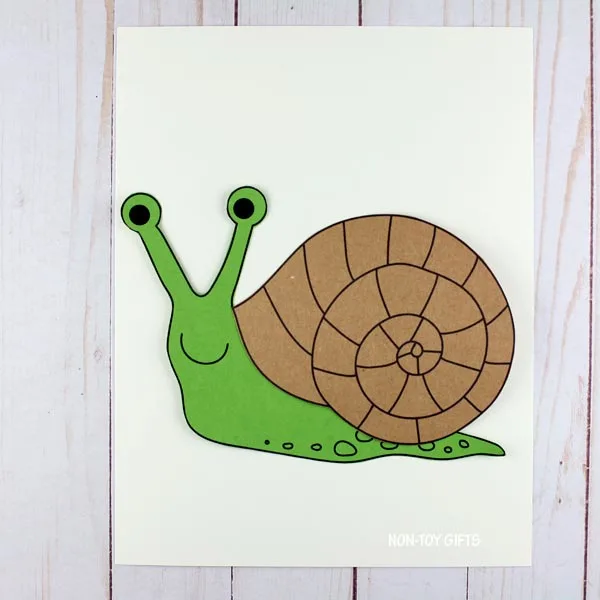 snail shell
