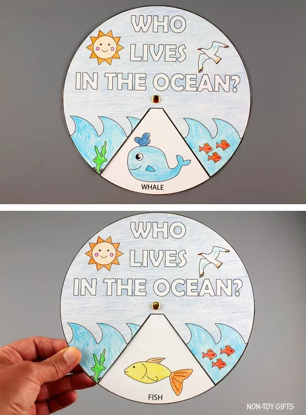Who lives in the ocean? spinner craft
