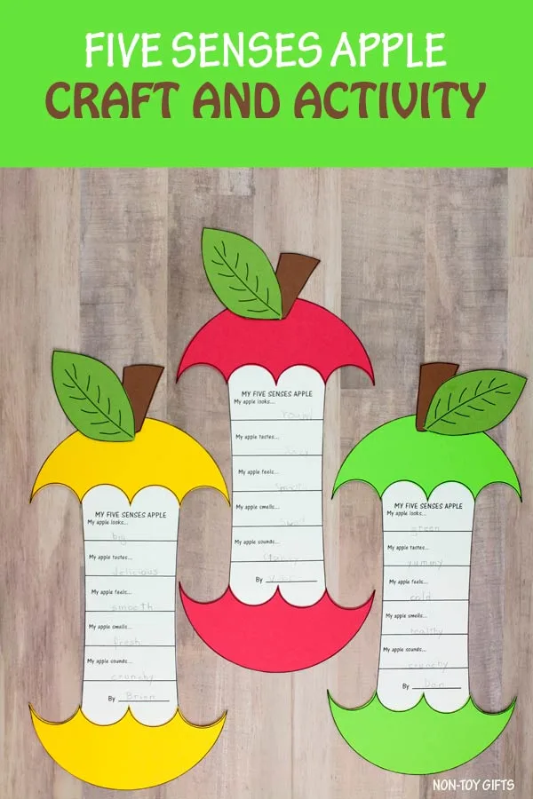 Five senses apple craft