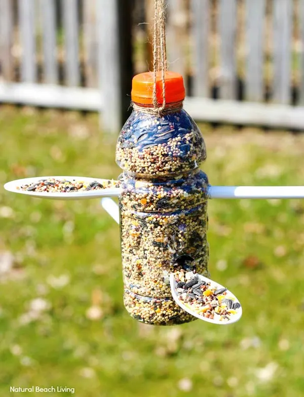 plastic bottle bird feeder