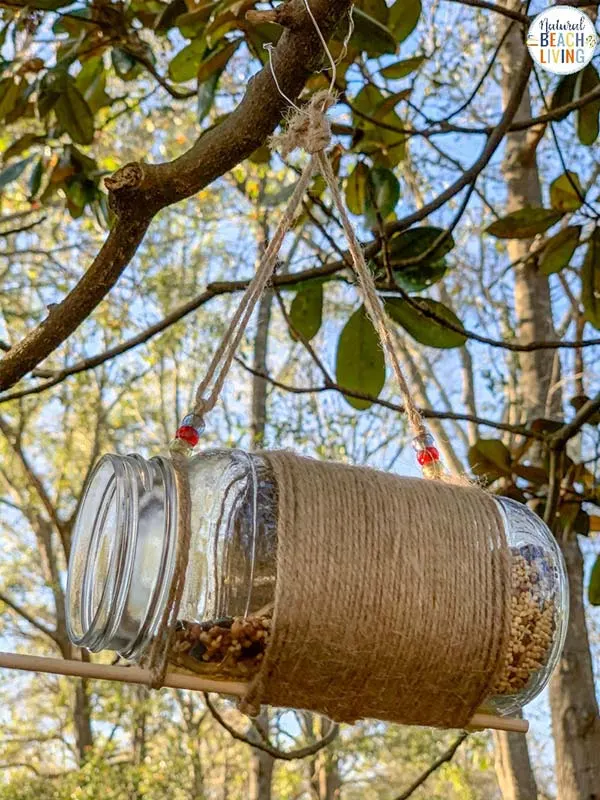 mason jar bird feeder