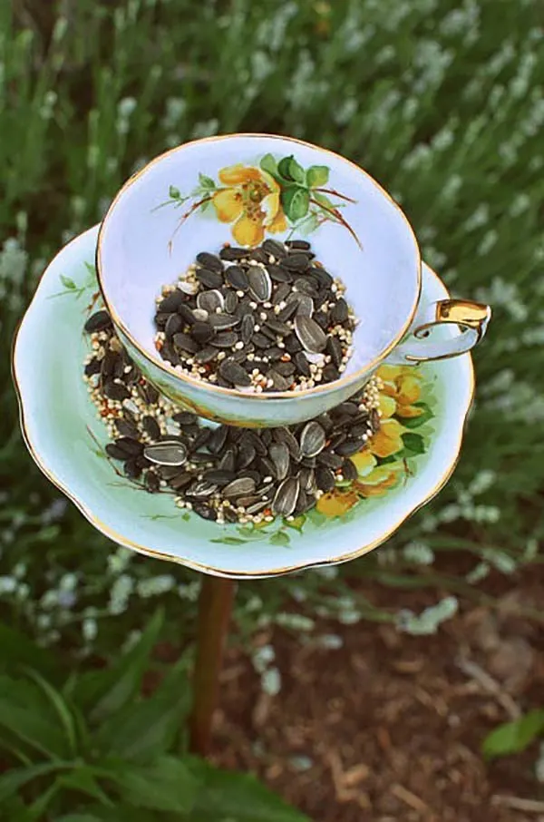 vintage teacup bird feeder