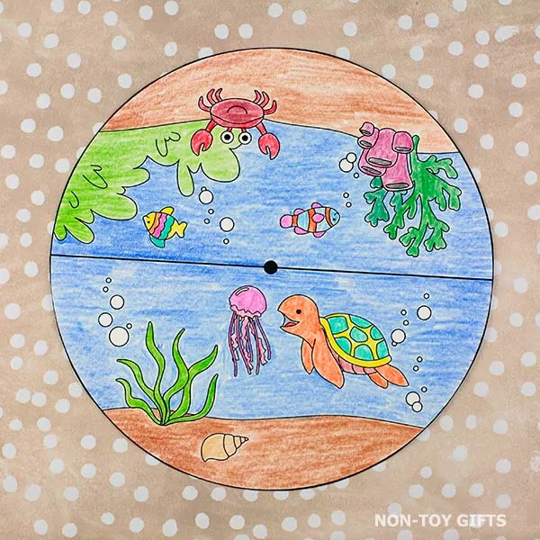 color the spinner