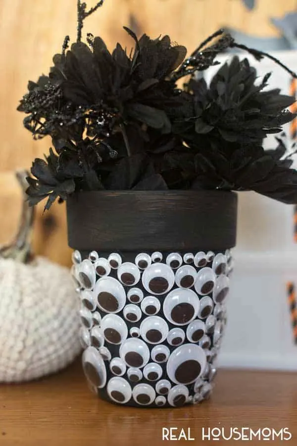 DIY eye flower pot