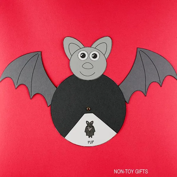 Bat life cycle craft and activity