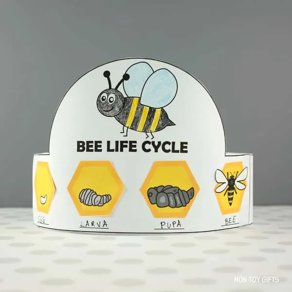 Bee life cycle headband craft printable for kids