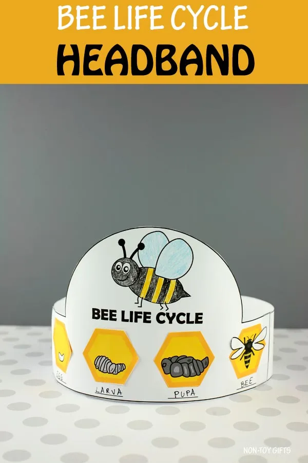 Bee life cycle headband printable for kids