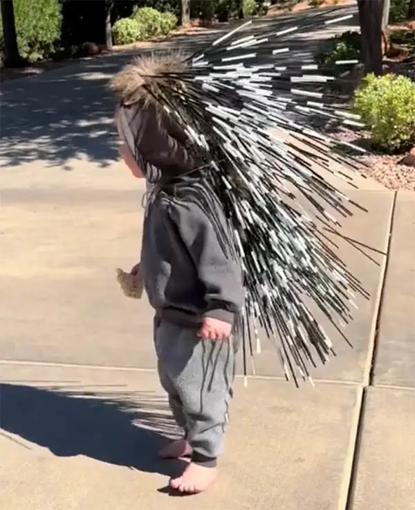 Porcupine Halloween costume