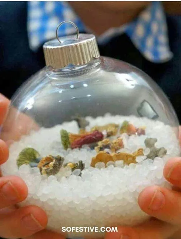 "I Spy" nativity ornament